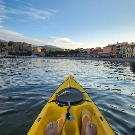 Superbe T3 Classe 5 Etoiles, Quartier Des Peintres, Calme, Patio Prive, Clim, Wifi Et Parking Prive * كولِيورْ